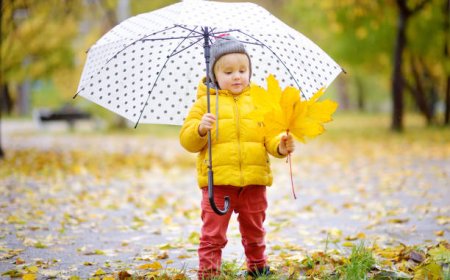 உலக குடை தினம்- வரலாற்றில் இன்று--பிப்ரவரி 10