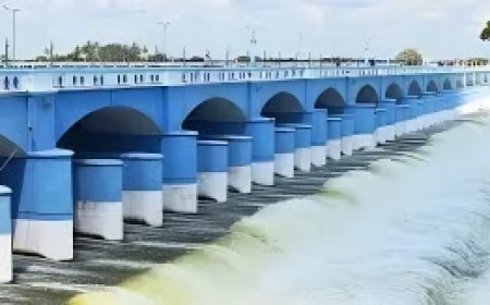 கல்லணை பற்றிய வரலாறு | Kallanai Dam History in Tamil