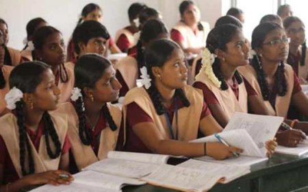 பிளஸ் 2 முடித்த மாணவர்கள் அடுத்து என்ன படிப்பை தேர்வு செய்யலாம்...!!