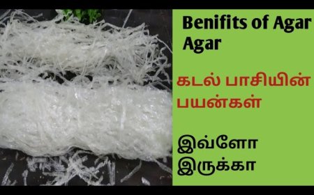  அகர் அகர்: ஆரோக்கிய நன்மைகள், எப்படி பயன்படுத்துவது & பக்க விளைவுகள்