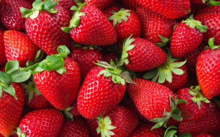 தேசிய ஸ்ட்ராபெரி தினம் 