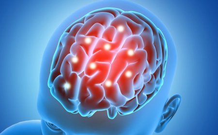 மூளையை எப்பொழுதும் சுருசுருப்பாகவும், ஆரோக்கியமாகவும் வைத்திருக்க இப்படி செய்யுங்கள்