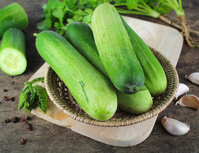 வெள்ளரிக்காய் சாகுபடி முறை மற்றும் பயன்கள்