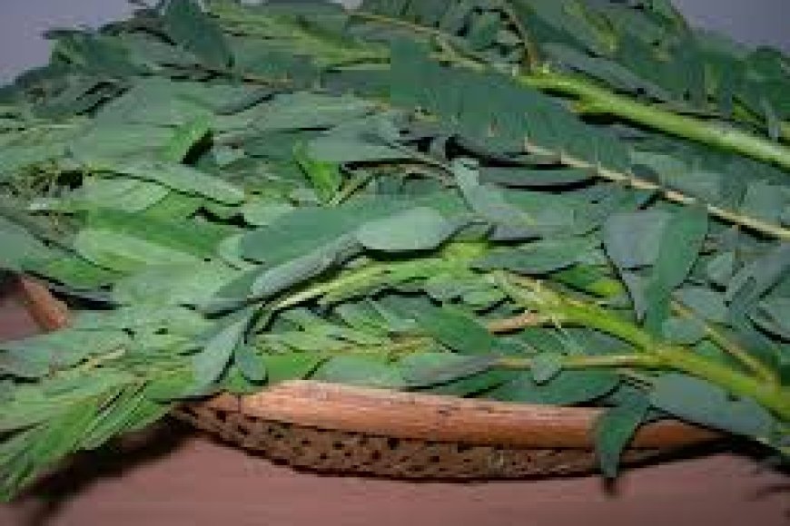 அகத்தி கீரை மருத்துவ குணங்கள் - மகிழ்ச்சி - Online Magazine