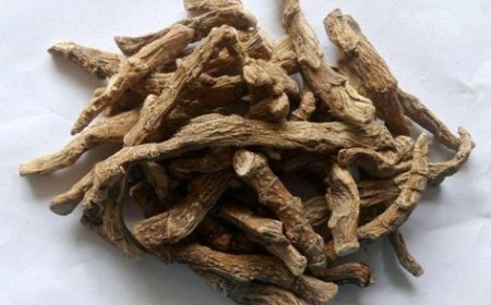 பூச்சி விரட்டி – வசம்பு