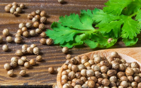 கொத்தமல்லி விதையின் மருத்துவ குணங்களும் பயன்களும்...!!