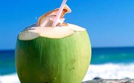 இளநீர் குடிப்பதற்கு சிறந்த நேரம் எது தெரியுமா?