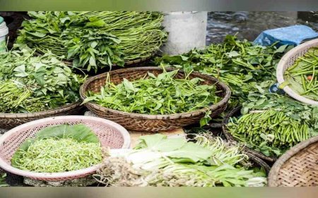 கீரைகள் பல கணக்குல இருக்கு - ஆனா இந்த 10 கீரையை சாப்பிட்டாலே போதும் எந்த நோயும் நெருங்காது