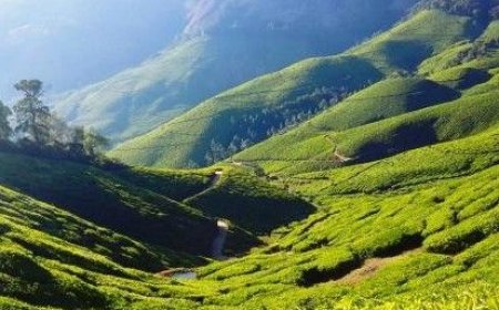 Manjolai Tourism: மினி ஊட்டியான மாஞ்சோலைக்கு ஒரு ட்ரிப் போலாமா?