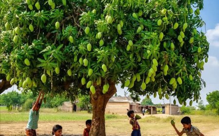 மரம் வளர்ப்போம் கட்டுரை | Maram Valarpom in Tamil Katturai