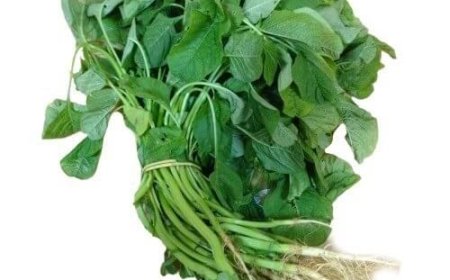 “வாரம் 2 முறை அரைக்கீரை சாப்பிட்டா body strong ஆகும் "