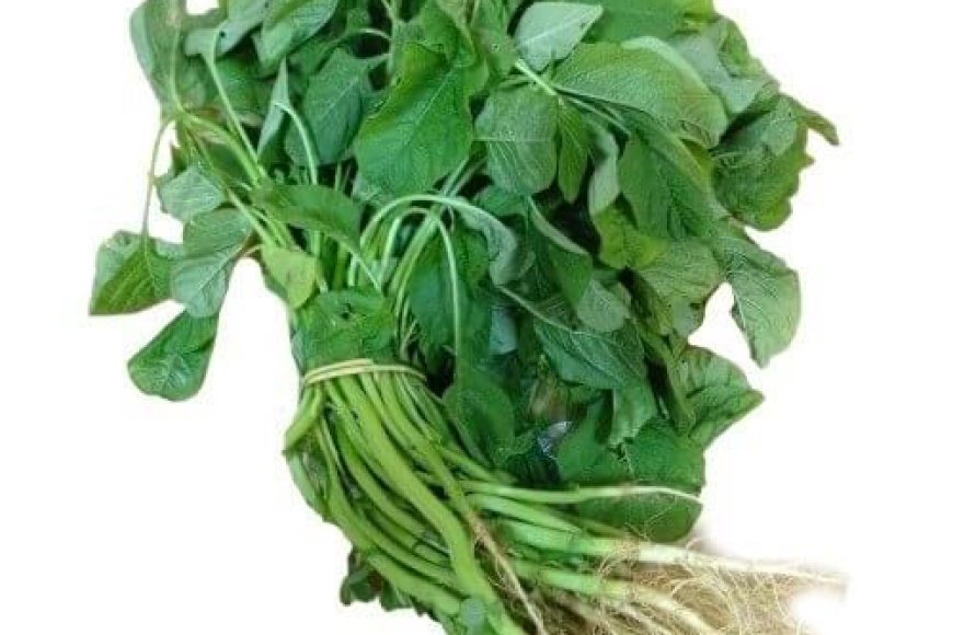 “வாரம் 2 முறை அரைக்கீரை சாப்பிட்டா body strong ஆகும் "