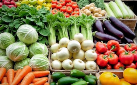 தினமும் காய்கறிகள் சாப்பிடுவதால் கிடைக்கும் 5 முக்கிய நன்மைகள்